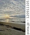 夕方の砂浜から見るうろこ雲 夕方の砂浜から見るうろこ雲 120911105