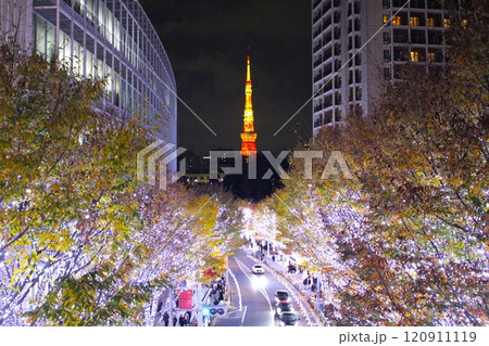 イルミネーションに彩られる東京タワー イルミネーションに彩られる東京タワー 120911119