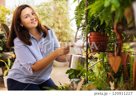 Beautiful brunette woman houseplant growth hobby watering potted plant at home garden closeup Beautiful brunette woman houseplant growth hobby watering potted plant at home garden closeup 120911227