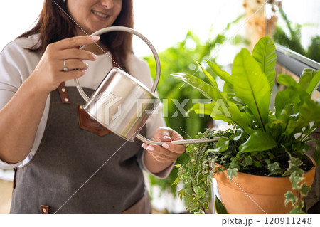 Beautiful brunette woman houseplant growth hobby watering potted plant at home garden closeup 120911248