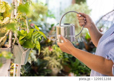 Unrecognizable woman gardener florist growing care use watering can at home indoor garden closeup 120911288