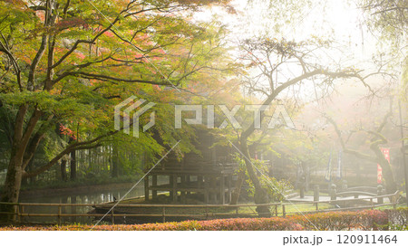 中尊寺　朝もやに浮かぶ弁財天堂　岩手県 120911464