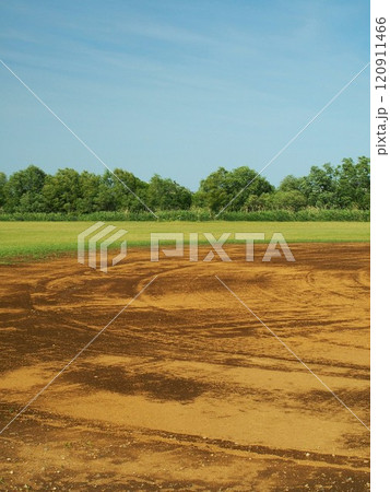 野球場のある初夏の江戸川河川敷風景 野球場のある初夏の江戸川河川敷風景 120911466