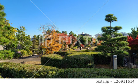 大橋ジャンクション天空庭園 120911614