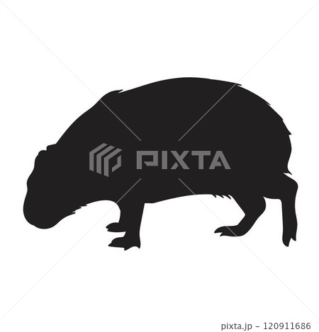 Capybara silhouette vector Capybara silhouette vector 120911686