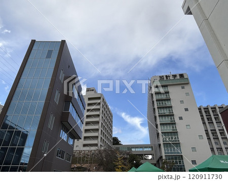都市景観などを望む 都市景観などを望む 120911730