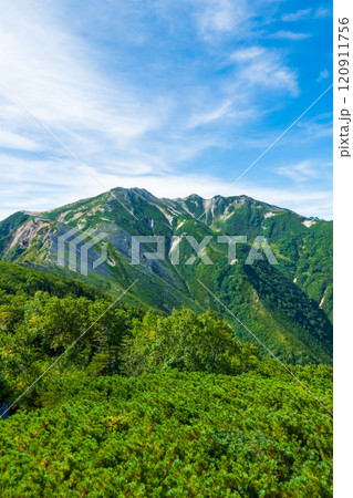 夏の烏帽子岳・南沢岳登山(烏帽子小屋~前烏帽子岳:三ッ岳を望む) 夏の烏帽子岳・南沢岳登山(烏帽子小屋~前烏帽子岳:三ッ岳を望む) 120911756