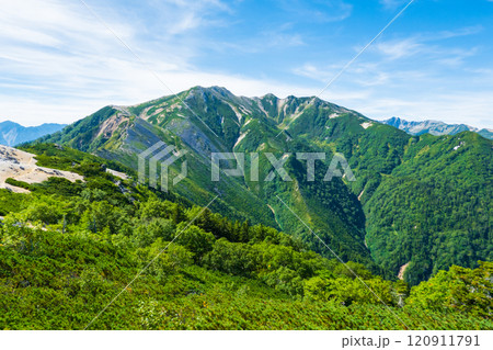 夏の烏帽子岳・南沢岳登山(烏帽子小屋~前烏帽子岳:三ッ岳を望む) 夏の烏帽子岳・南沢岳登山(烏帽子小屋~前烏帽子岳:三ッ岳を望む) 120911791