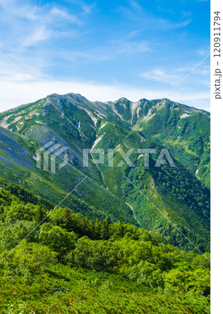 夏の烏帽子岳・南沢岳登山（烏帽子小屋～前烏帽子岳：三ッ岳を望む） 120911794