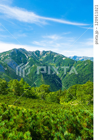 夏の烏帽子岳・南沢岳登山(烏帽子小屋~前烏帽子岳:三ッ岳・水晶岳を望む) 夏の烏帽子岳・南沢岳登山(烏帽子小屋~前烏帽子岳:三ッ岳・水晶岳を望む) 120911821