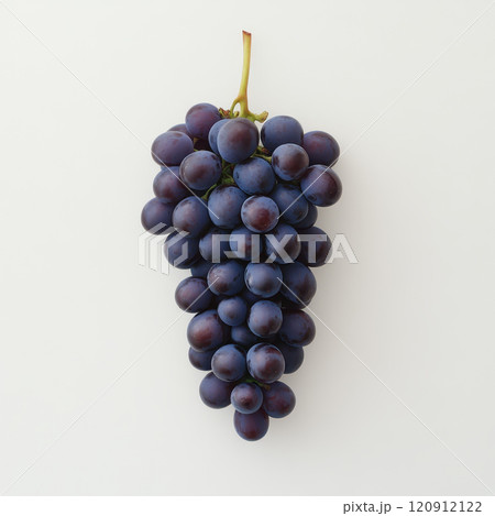 Fresh bunch of dark purple grapes on light background, vibrant and juicy 120912122