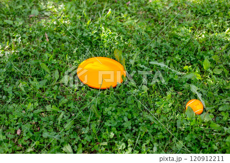 Bright orange disc on lush green grass: outdoor play scene 120912211