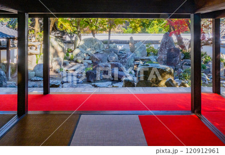 秋の神戸・太山寺・安養院の和室から見る庭園 秋の神戸・太山寺・安養院の和室から見る庭園 120912961