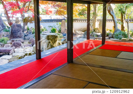 秋の神戸・太山寺・安養院の和室から見る庭園 秋の神戸・太山寺・安養院の和室から見る庭園 120912962