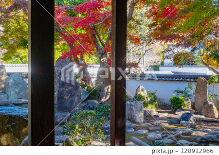 秋の神戸・太山寺・安養院の和室から見る庭園 120912966