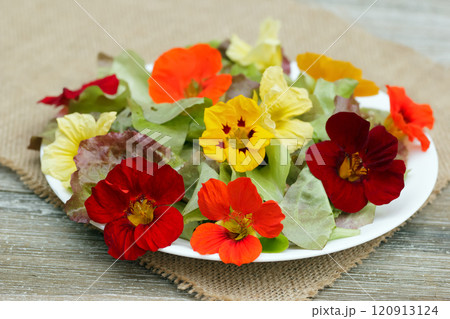 Salad of multicolored edible nasturtium flowers and lettuce in a plate on the burlap mat on the wooden table. 120913124