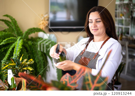 Woman gardener hands sprinkling water to hedera ivy in hanged pot plant care cultivation closeup Woman gardener hands sprinkling water to hedera ivy in hanged pot plant care cultivation closeup 120913244