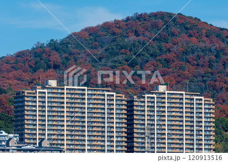 宝塚　遠景 120913516