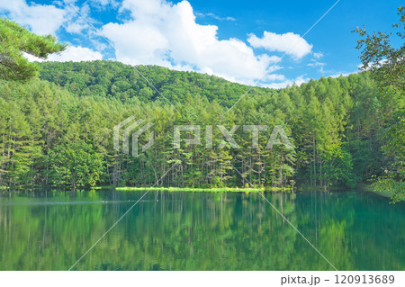 【御射鹿池】 長野県茅野市豊平 奥蓼科 120913689