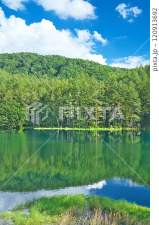 【御射鹿池】 長野県茅野市豊平 奥蓼科 120913692