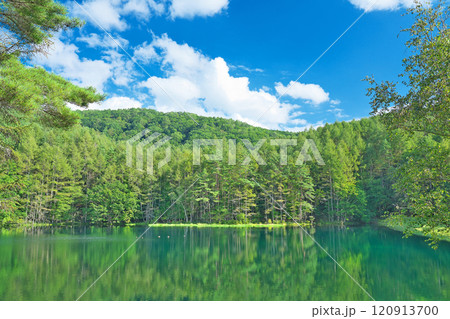 【御射鹿池】 長野県茅野市豊平 奥蓼科 120913700