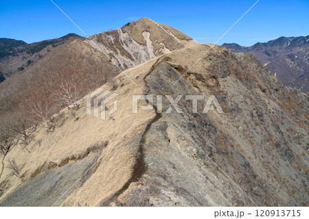 日光市足尾町、中倉山から沢入山へ続く山稜 120913715