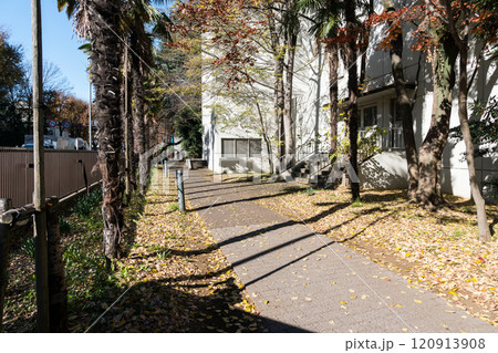 電気通信大学のキャンパス 入口から本館に続く小路 冬晴れの青空 東京都調布市調布ケ丘 電気通信大学のキャンパス 入口から本館に続く小路 冬晴れの青空 東京都調布市調布ケ丘 120913908