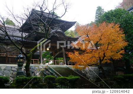 永平寺　初冬の中雀門　夕暮れ時 120914042