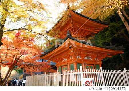 【岸和田市　紅葉の境内に佇む　国指定重要文化財「大威徳寺」多宝塔】 120914173