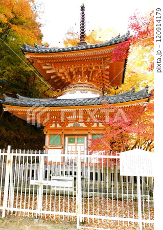 【岸和田市　紅葉の境内に佇む　国指定重要文化財「大威徳寺」多宝塔】 120914179