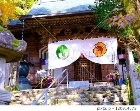 定福寺の紅葉　高知 120914578
