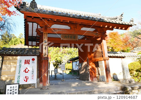 【河内長野市　大阪府指定有形文化財「観心寺」山門】 120914687