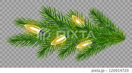 Sparkling Christmas lights illuminate realistic fir branch on transparent background. For festive designs, New Year, Christmas greeting cards, banners. Vector illustration 120914720