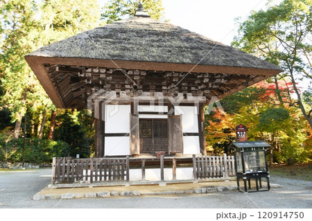 【河内長野市　国指定重要文化財「観心寺」建掛塔】 120914750