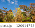 美しく紅葉したふれあい牧場の秋の景色 120914752