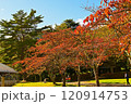 ふれあい牧場の美しい紅葉 120914753