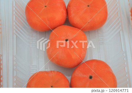 柿　カキ 120914771