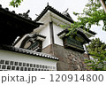 兼六園から見る金沢城 120914800