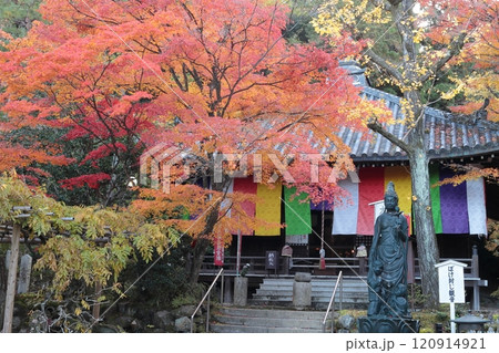 京都　今熊野観音寺　大師堂の紅葉 120914921