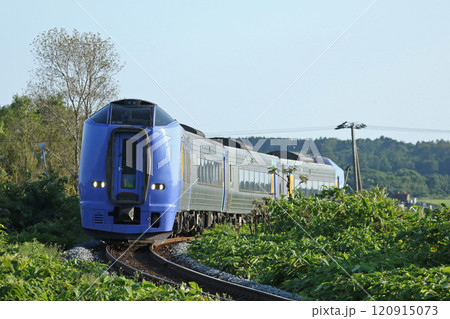 緑の中を駆ける特急サロベツ 特急サロベツ 宗谷本線 緑の中を駆ける特急サロベツ 特急サロベツ 宗谷本線 120915073