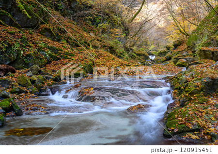 【山梨県】石空川渓谷 竜洗峡 【山梨県】石空川渓谷 竜洗峡 120915451