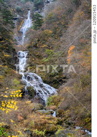 【山梨県】石空川渓谷　精進ヶ滝 120915453