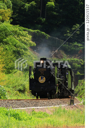 SLやまぐち号　D51   4556 120915537