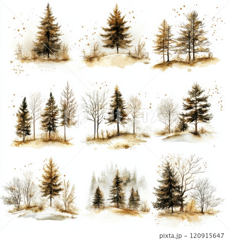 A series of trees in various stages of growth,...のイラスト素材 [120915647 ...
