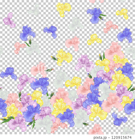 Seamless pattern of German iris flying like a butterfly Seamless pattern of German iris flying like a butterfly 120915674