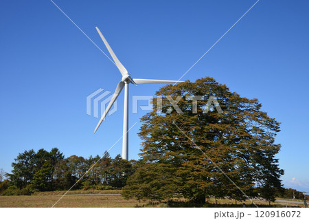 郡山布引風の高原 2024-10-3 #6 郡山布引風の高原 2024-10-3 #6 120916072