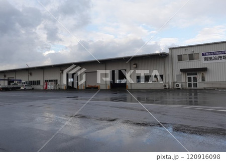 とらふぐ競り市の下関市 南風泊(はえどまり)市場 120916098