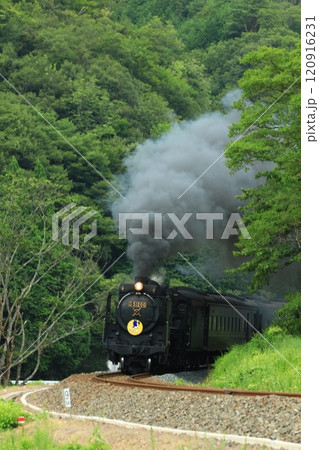 SLやまぐち号 D51 8606 SLやまぐち号 D51 8606 120916231