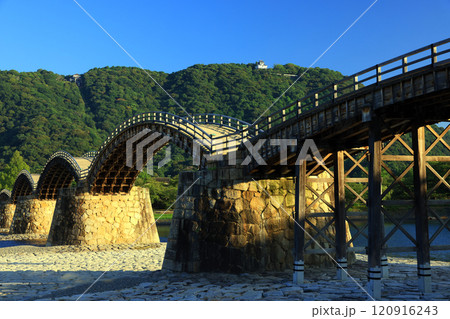 岩国 錦帯橋4247 岩国 錦帯橋4247 120916243