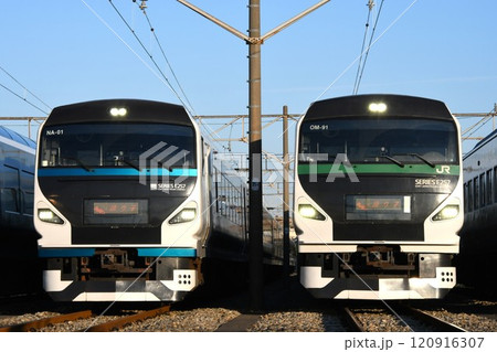 東大宮で並ぶ踊り子表示のE257系2000番台と5000番台 120916307